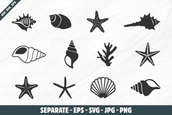 Download Sea Shell Silhouettes, Sea Shell Svg - Shell svg Collection