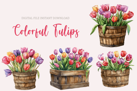 Download Watercolor Tulips Clipart Spring Flowers - Premium Resources