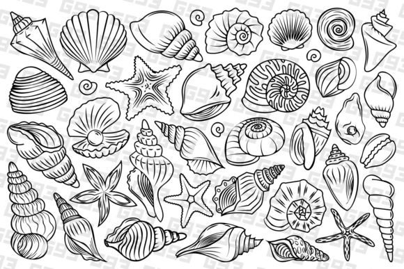Download Line Art Seashell Illustrations - Line art seashell Collection