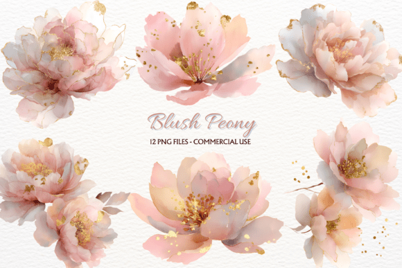 Download Blush Peony Clipart Spring Flowers PNG - Premium Resources